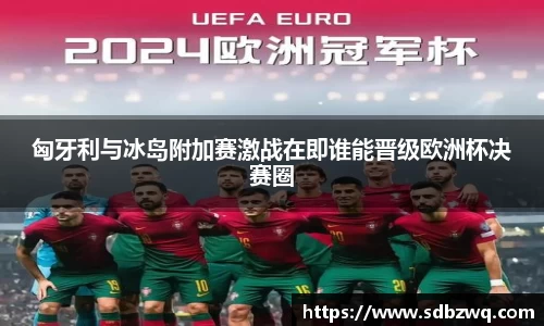 匈牙利与冰岛附加赛激战在即谁能晋级欧洲杯决赛圈