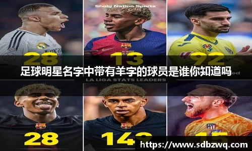 足球明星名字中带有羊字的球员是谁你知道吗